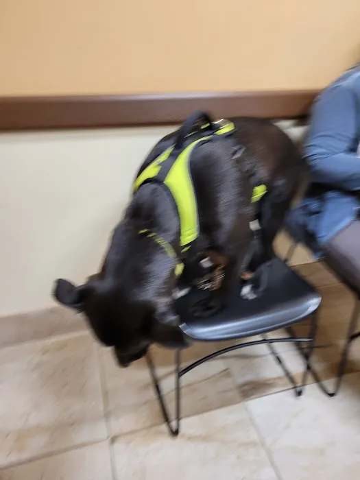 Oradell Veterinary Group of Hasbrouck Heights Picture 10