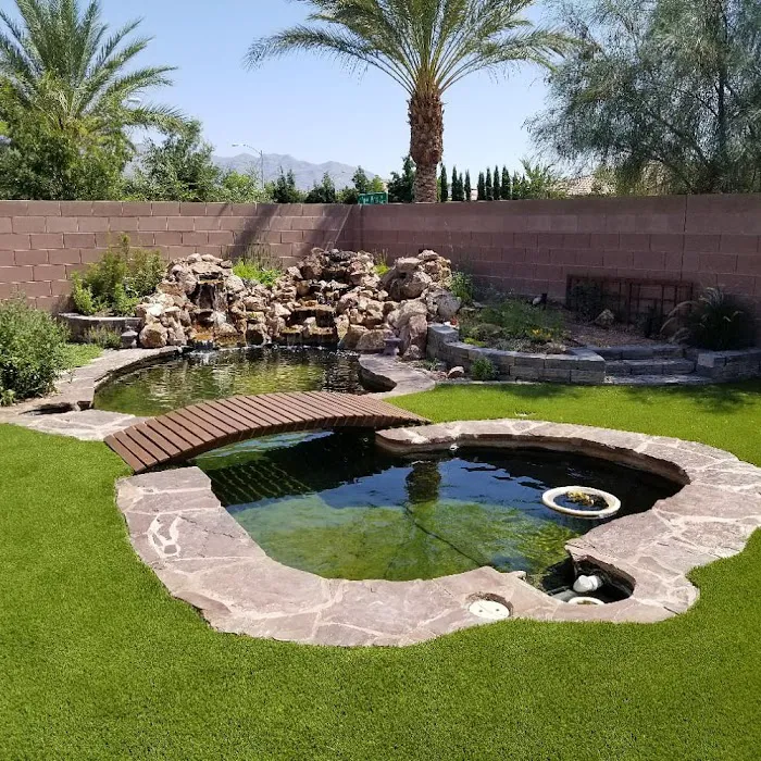 Advanced Aquascapes Picture 3