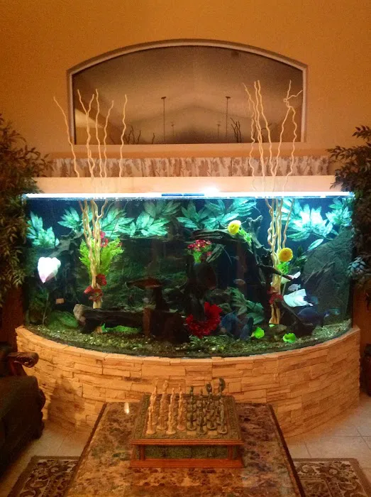 Advanced Aquascapes Picture 5
