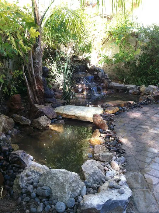 Advanced Aquascapes Picture 9
