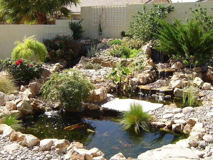 Advanced Aquascapes Picture 7