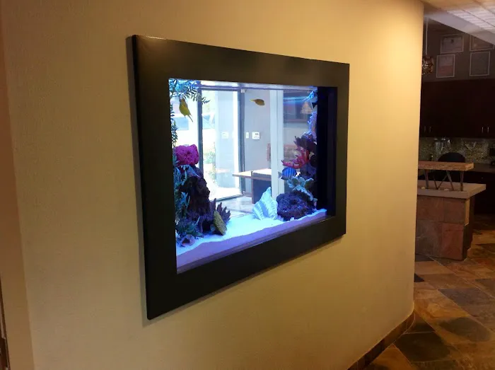 Advanced Aquascapes Picture 8