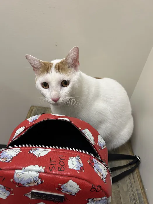 Vetco Total Care Animal Hospital Picture 1