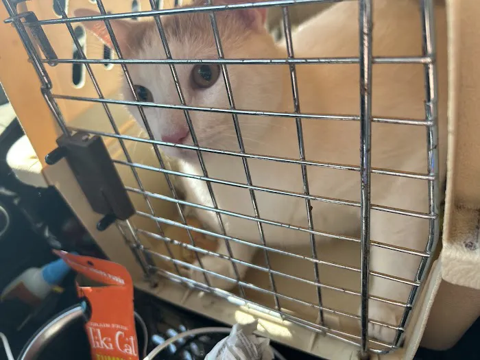 Vetco Total Care Animal Hospital Picture 9