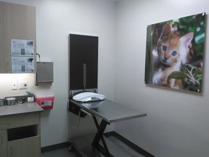 Vetco Total Care Animal Hospital Picture 6