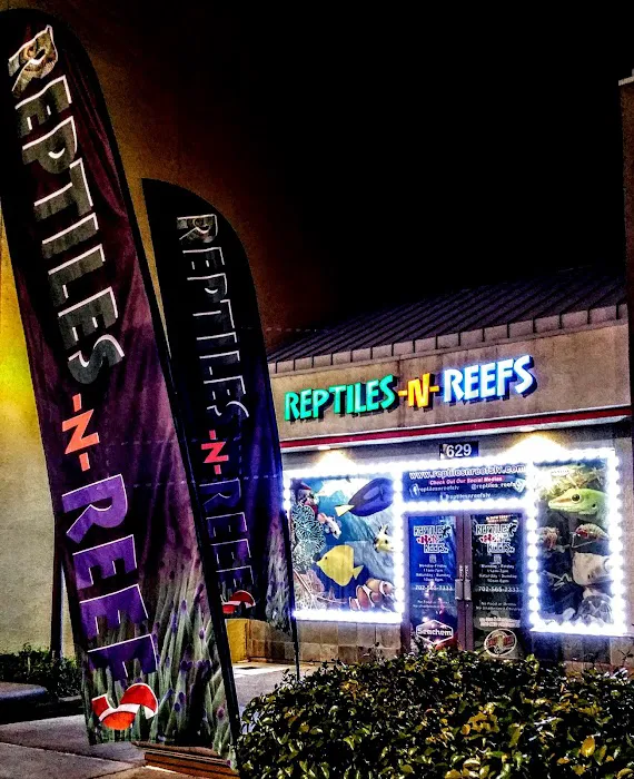 LLLReptile & Supply Henderson Picture 2