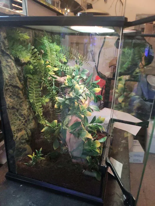 LLLReptile & Supply Henderson Picture 1