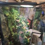 LLLReptile & Supply Henderson