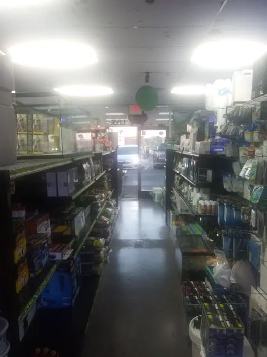 LLLReptile & Supply Henderson Picture 4