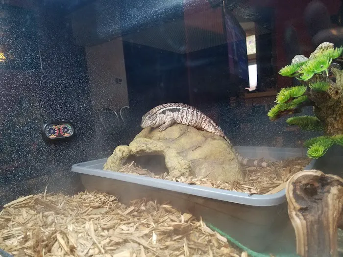 LLLReptile & Supply Henderson Picture 6