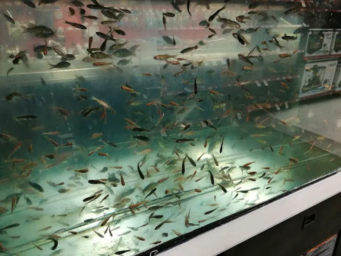 Petco Picture 3