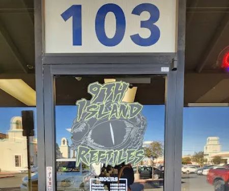9th Island Reptiles
