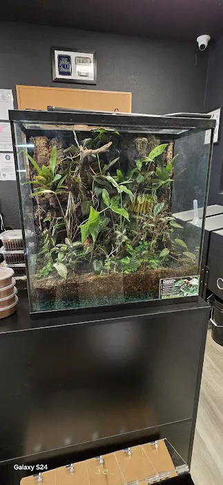 9th Island Reptiles Picture 6