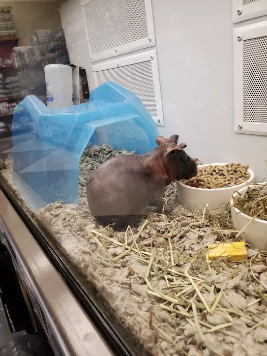 Petco Picture 1