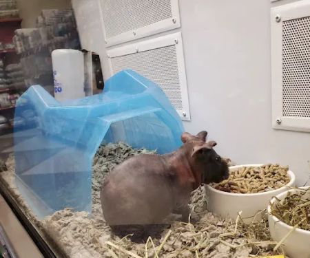 Petco