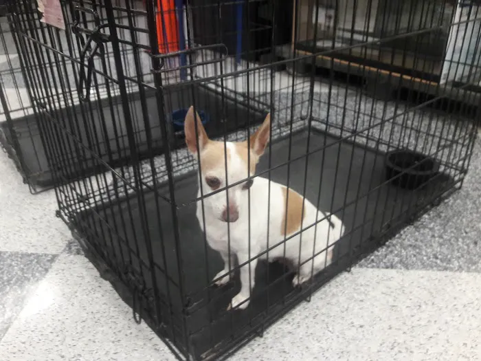 Petco Picture 5