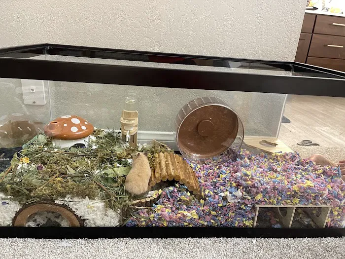 Petco Picture 4