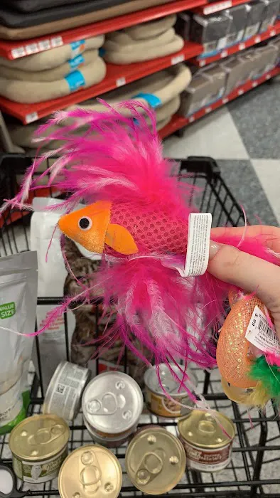 Petco Picture 8
