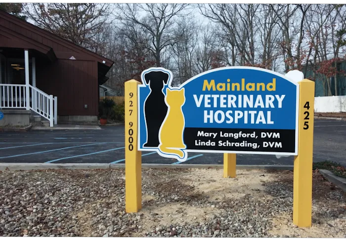 Mainland Veterinary Hospital Picture 3