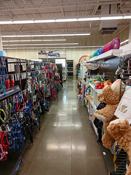 Petco Picture 1