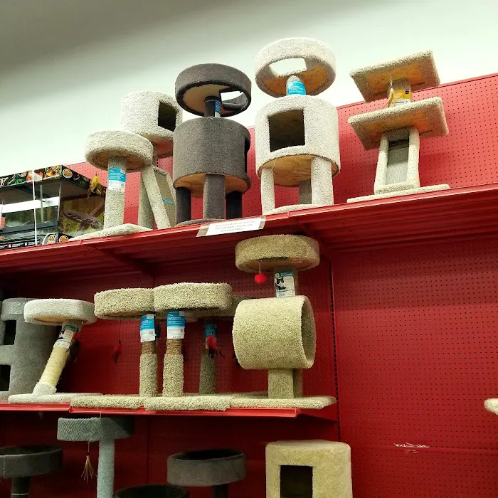 Petco Picture 3