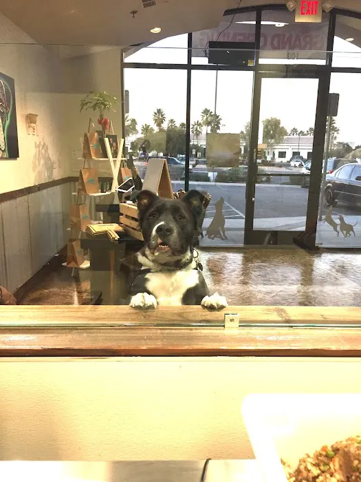 Fido's Kitchen Picture 2