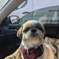 Parkway Veterinary Hospital ico