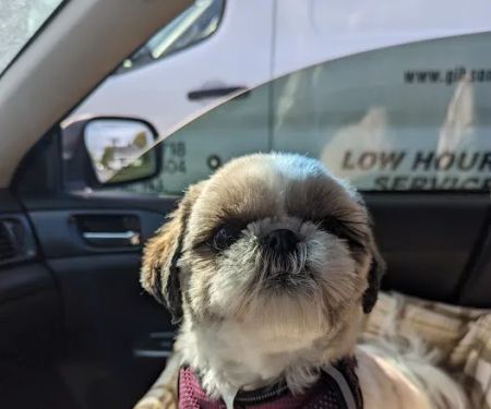 Parkway Veterinary Hospital