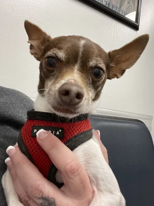 Parkway Veterinary Hospital Picture 9