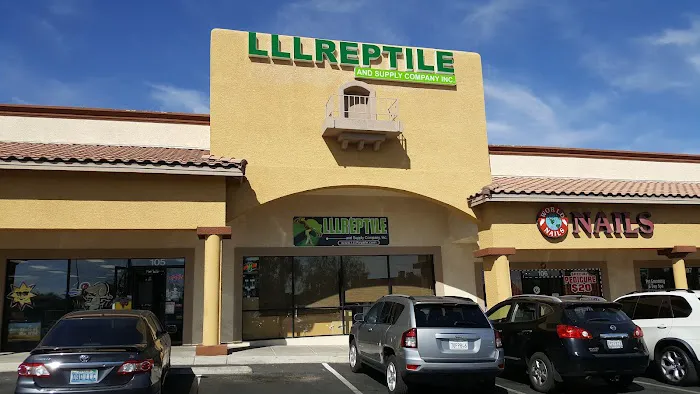 LLLReptile & Supply Las Vegas Picture 2