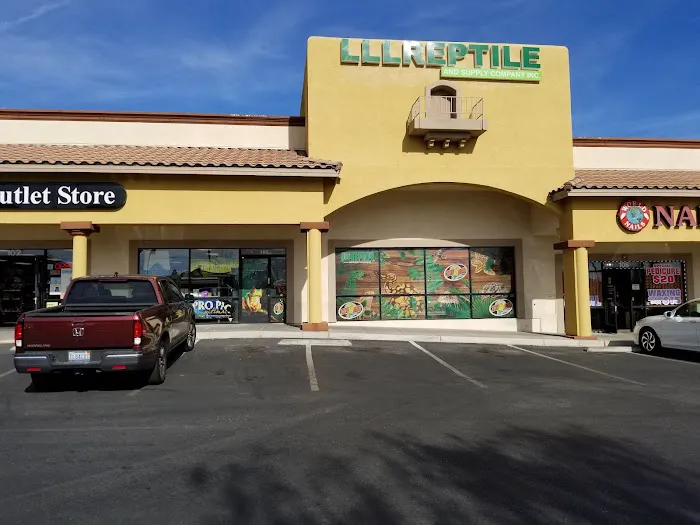 LLLReptile & Supply Las Vegas Picture 7