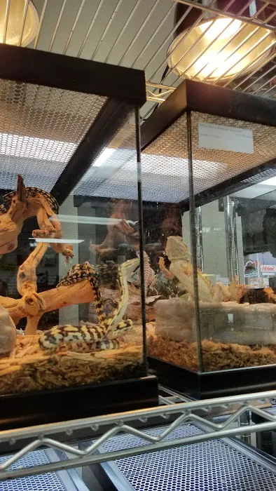 LLLReptile & Supply Las Vegas Picture 5