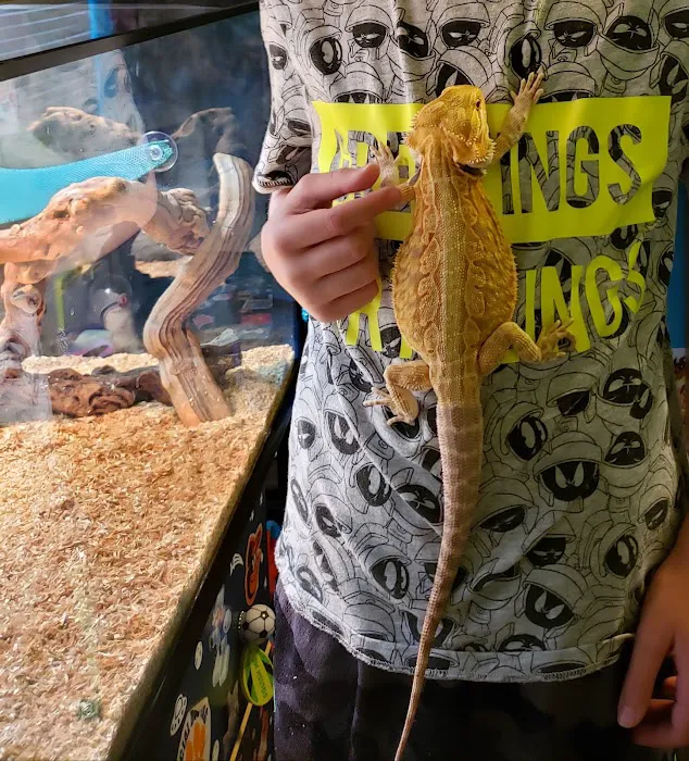 LLLReptile & Supply Las Vegas Picture 6