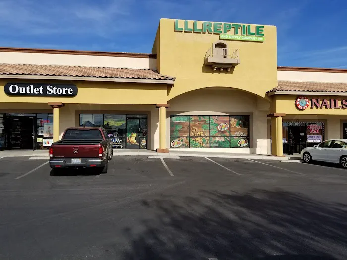 LLLReptile & Supply Las Vegas Picture 10