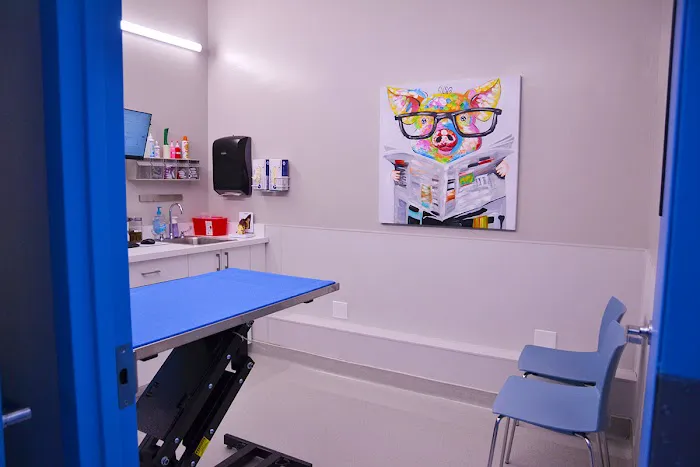Hoboken Vets Animal Clinic Picture 3