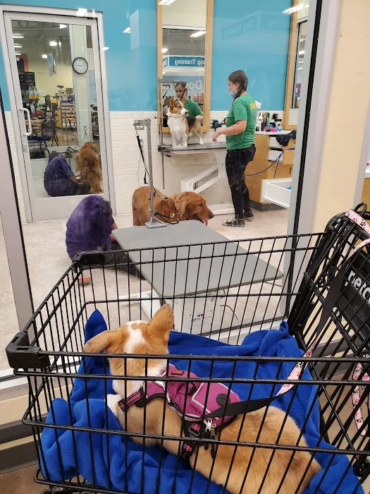 Petco Picture 3