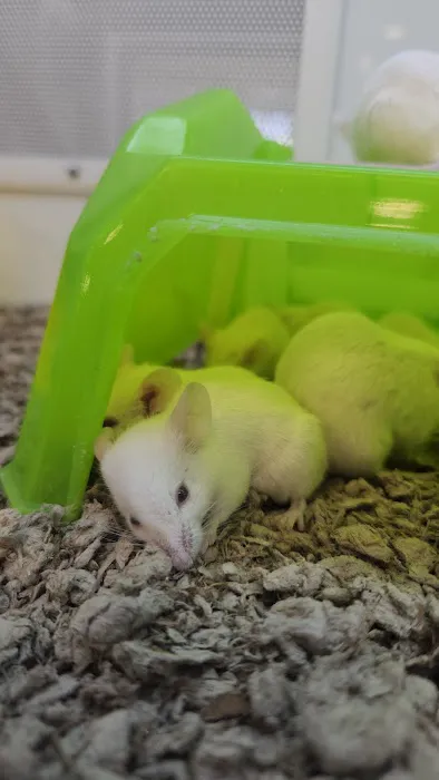Petco Picture 5