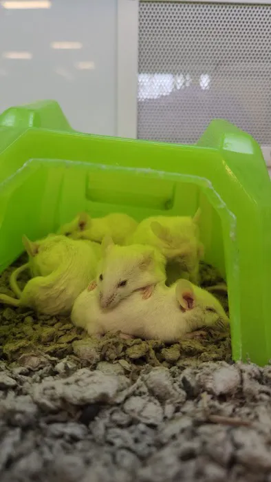 Petco Picture 9