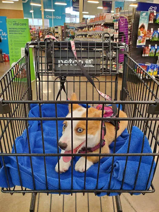 Petco Picture 8