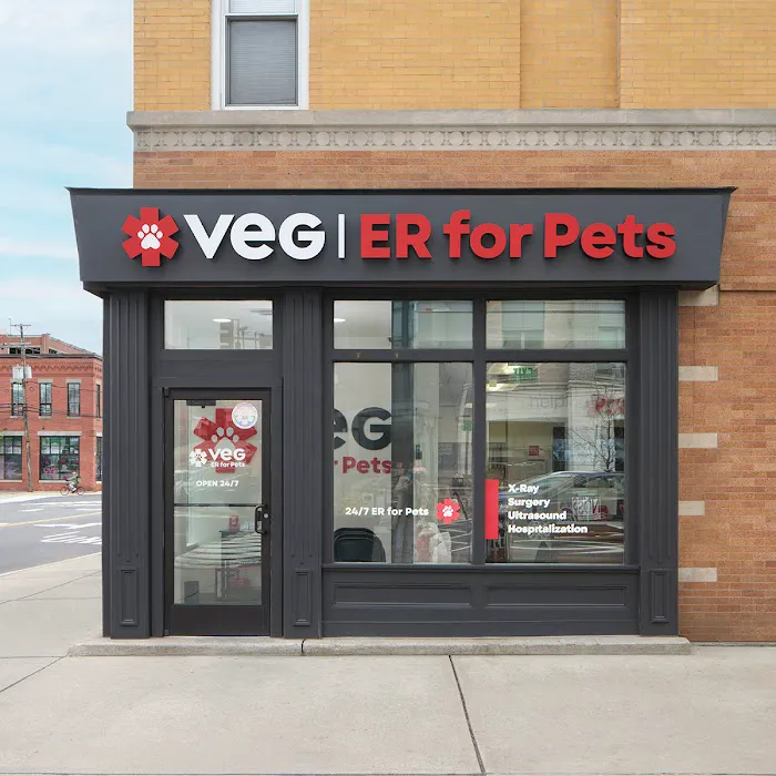 VEG ER for Pets Picture 3