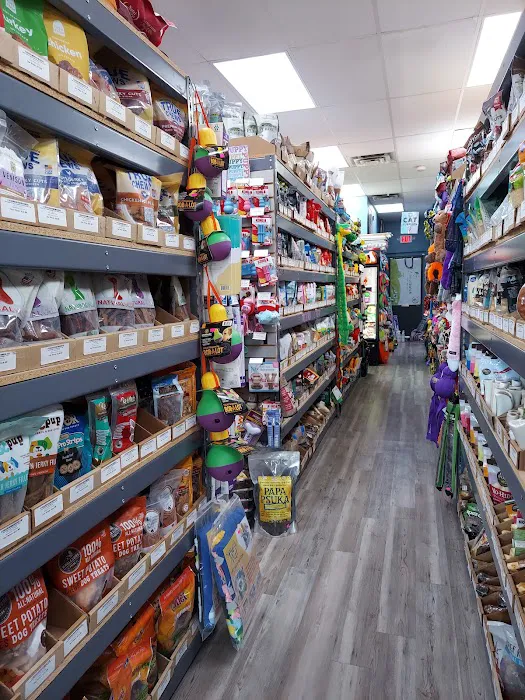 Dog Supplies Outlet Picture 2