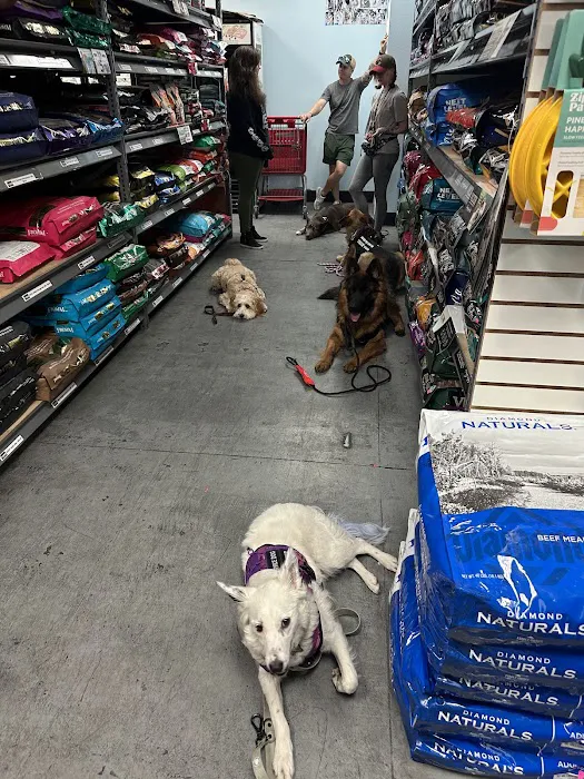Dog Supplies Outlet Picture 6