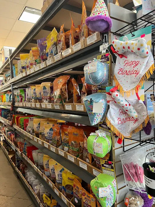 Dog Supplies Outlet Picture 5
