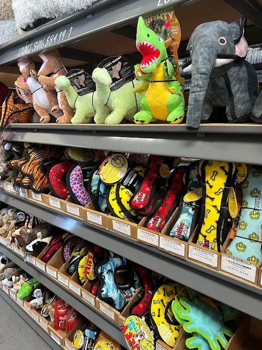 Dog Supplies Outlet Picture 8