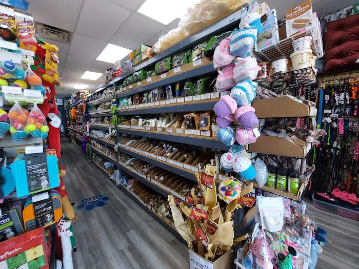 Dog Supplies Outlet Picture 9