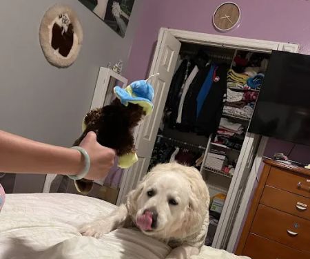 Union City Animal Clinic
