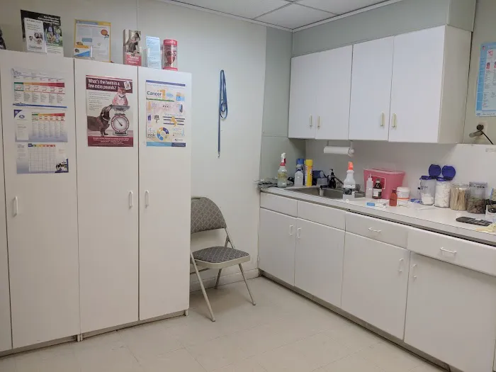 Union City Animal Clinic Picture 8