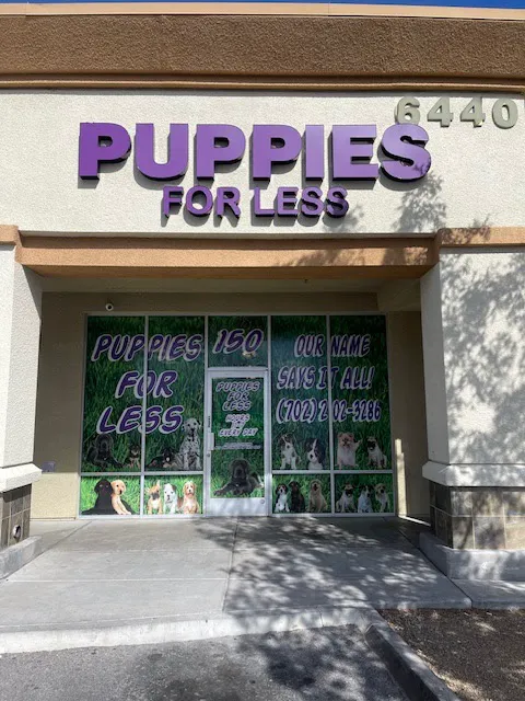 Puppies For Less - Sky Pointe Las Vegas Picture 1