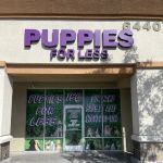 Puppies For Less - Sky Pointe Las Vegas