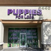 Puppies For Less - Sky Pointe Las Vegas ico